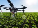 Dron fumigando una plantación