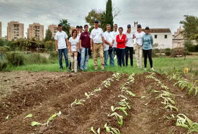Trabajos voluntarios de agricultura en huerta ecológica. 