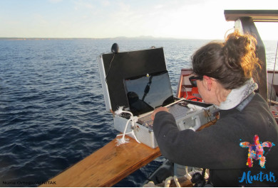 Equipo de investigación del velero establece un dispositivo para el segumiento de especies. 