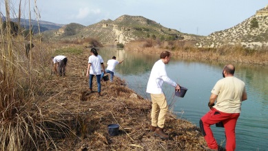 Trabajadores voluntarios Tragsatec río Segura