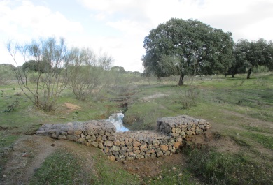 Restauración hidrológica en un afluente del río Almonte (Cáceres)