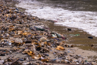 Contaminación marina