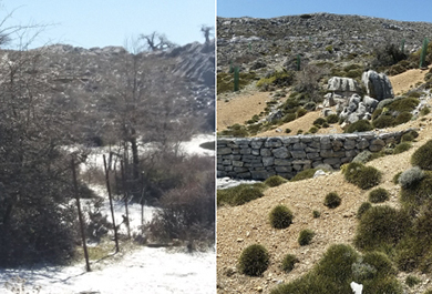 Antes y después del parque natural Sierra de las Nieves