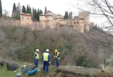 Trabajos de mejora de los jardines que rodean la Alhambra