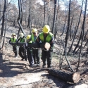 La Cátedra Rafael Dal-Ré/Tragsa organiza unas jornadas sobre restauración de áreas incendiadas
