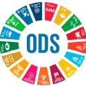 La Red Española del Pacto Mundial elige el Programa T+Vida como mejor práctica en el ODS3 “Salud y Bienestar”