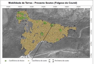 Ficha del proyecto en los bosques de Caurel