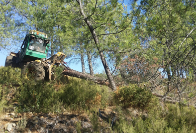 125-Saca mediante tractor forestal en huroneo