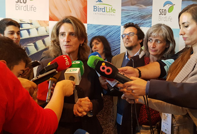 la ministra de Transición Ecológica en funciones, Teresa Ribera, comparece ante los medios