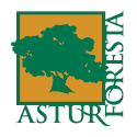 El Grupo Tragsa participa en Asturforesta, un encuentro de referencia en materia forestal