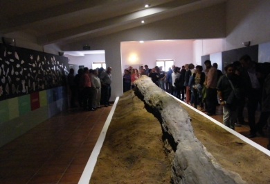 Inauguración dotación interpretativa del tronco fósil del Viar