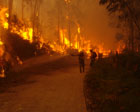 Vista de un incendio forestal.
