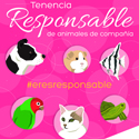 ​El colegio Ángel León de Colmenar Viejo promociona la Tenencia Responsable de Mascotas