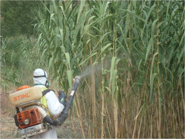 Operario trabajando con equipo de fumigación
