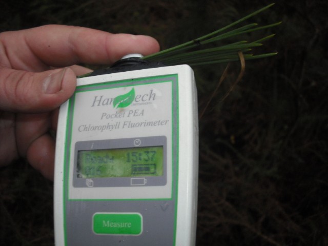 Medidor de clorofila portátil
