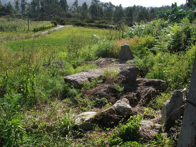 Paraje de la zona