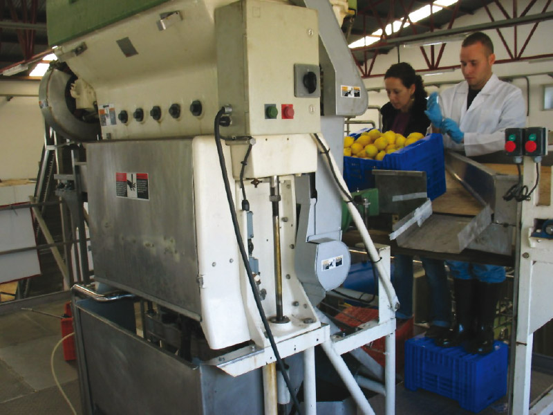 Operarios manipulando alimento en el interior del buque