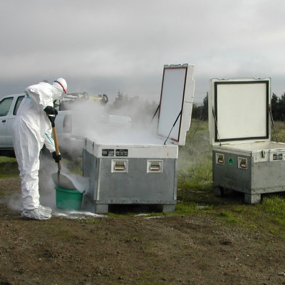 Worker disinfecting containers