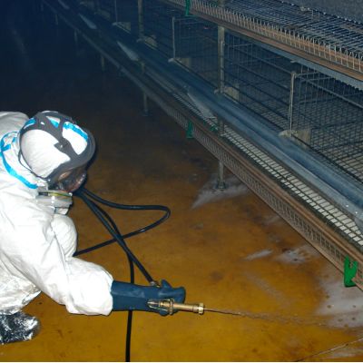 Worker disinfecting the farm