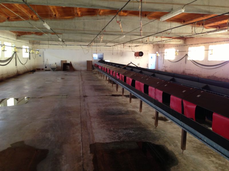 Farm disinfected by the workers.