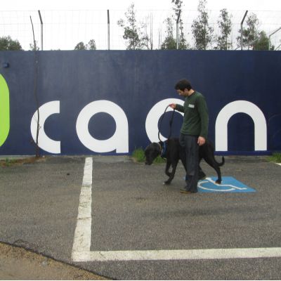 Façade of the building