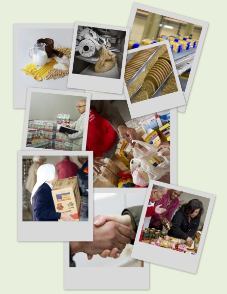 Collage about the project