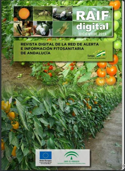 Cover of RAIF digital