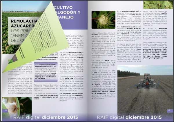 Interior of RAIF digital