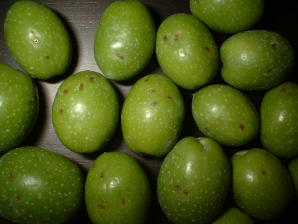 Damaged fruit