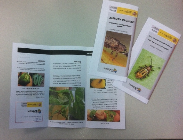 Brochure of the conference
