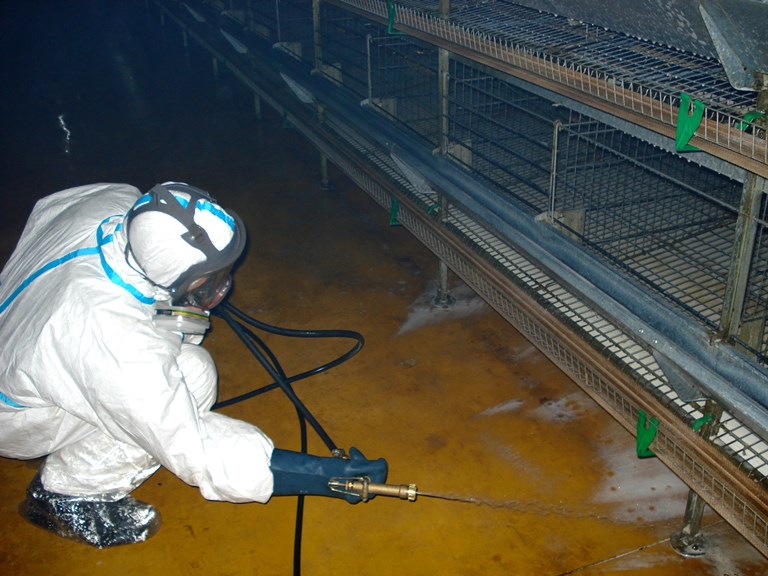 Worker disinfeecting the area.