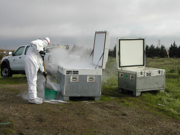 Worker washing the containers
