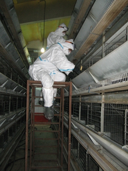 Workers examining the facilities