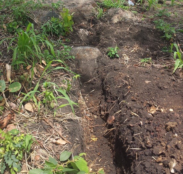 Ditch water supply
