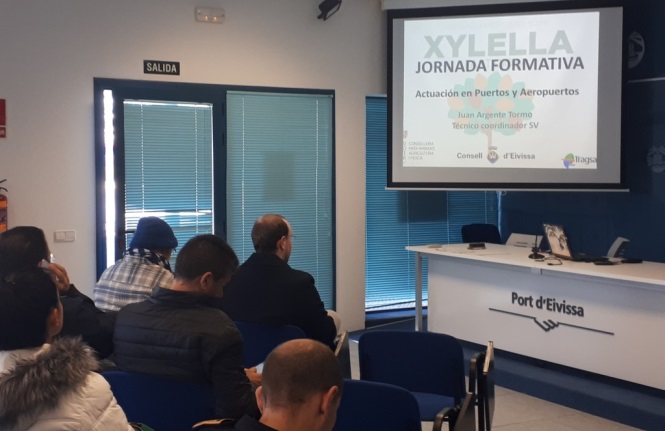 Formación