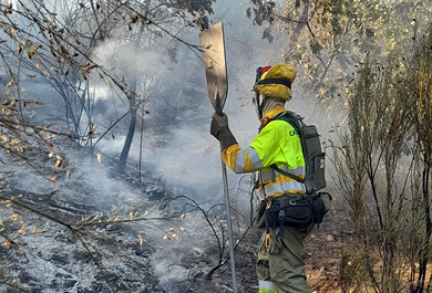Operativo incendios forestales