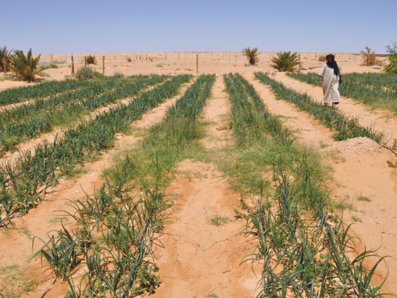 Vista campamento de refugiados