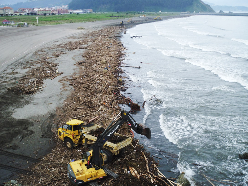 Recogida de residuos vegetales a orillas de la playa