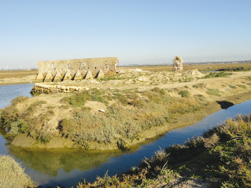 Vista del parque, se aprecian restos de un edificio