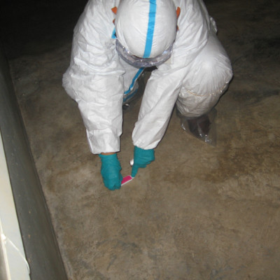 Expert working in the farm.