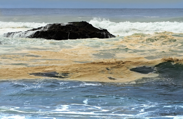 Marine environment polluted.