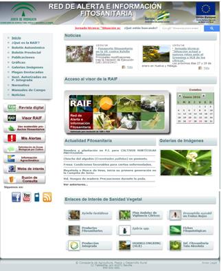 Capture of RAIF web