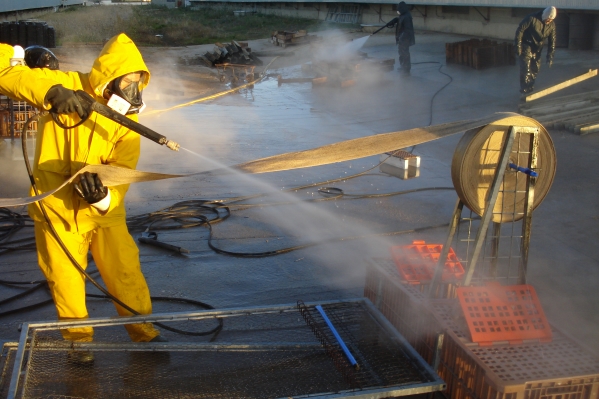 Worker disinfecting poultry farms