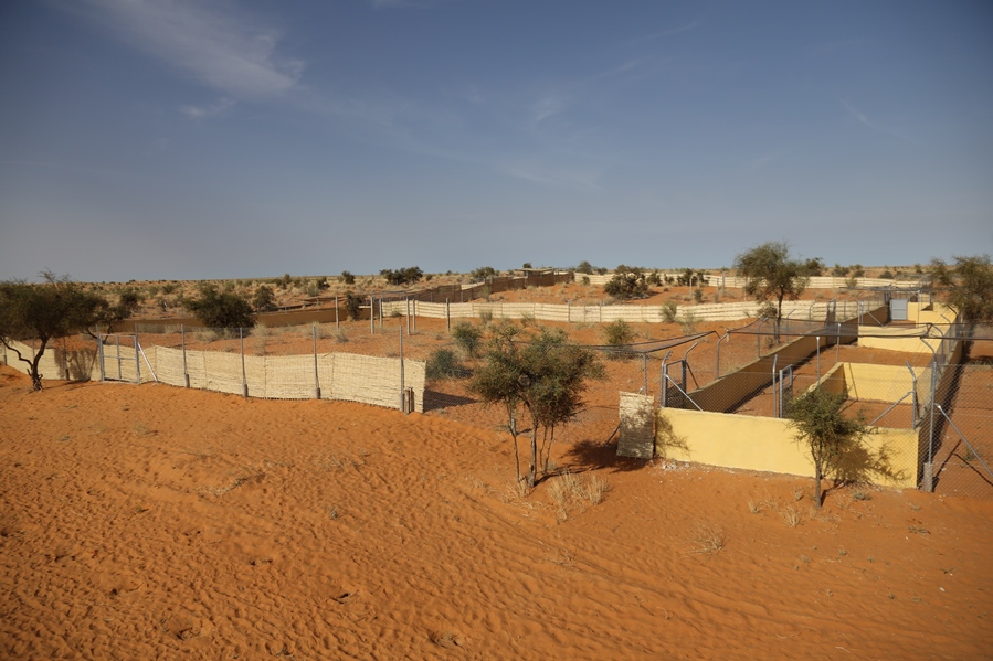 Acclimatisation centre for gazelles in Idini 