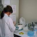 Scientist working in the laboratory for control of diseases.