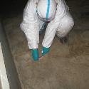 Emergency slaughtering, cleaning and disinfection at a poultry farm