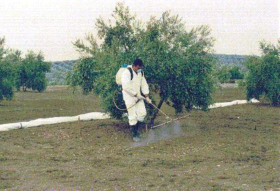 Irrigation work