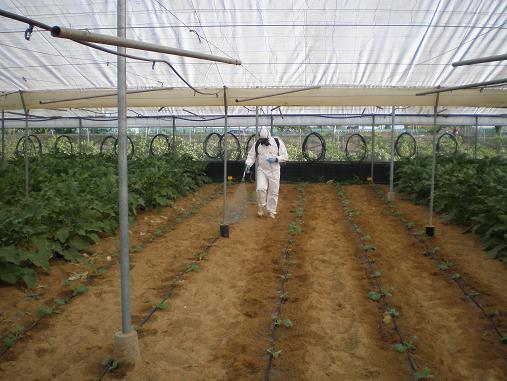 Irrigation in a greenhouse
