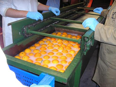 Factory work