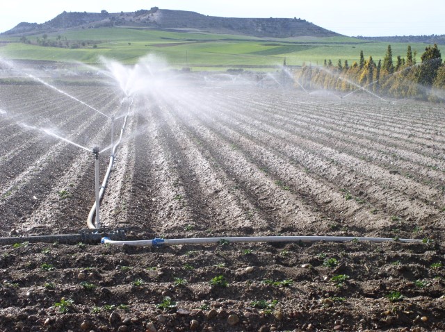 Campo con aspersores